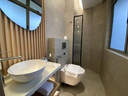 Mount Elizabeth Link (D9), Condominium #585130591